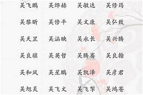 吳取名|姓吳名字大全，姓吳男孩名字，男孩名字大全，男寶寶取名字大全